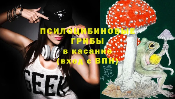 скорость Белокуриха